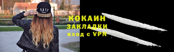 COCAINE Богородицк