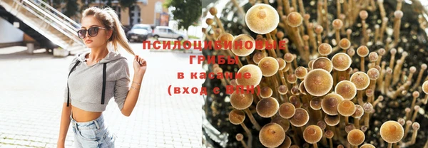 меф VHQ Богданович